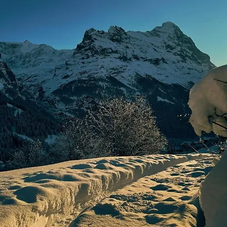 Hébergement de vacances Stylish Chalet With Breathtaking View Grindelwald