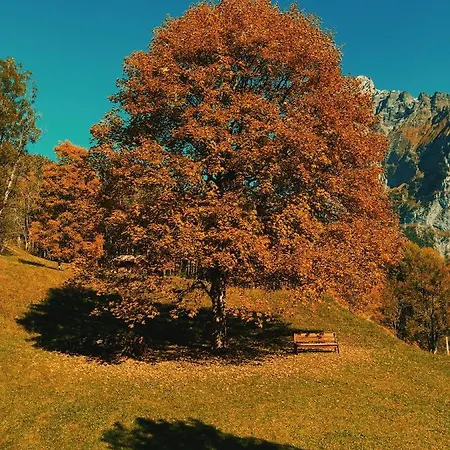 Hébergement de vacances Stylish Chalet With Breathtaking View Grindelwald